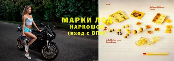 индика Балабаново