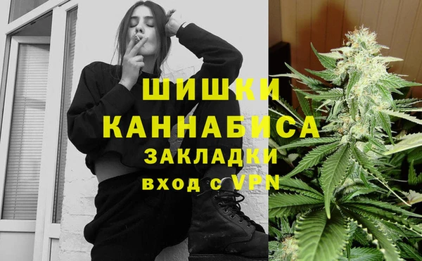 индика Балабаново