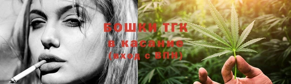 стаф Баксан