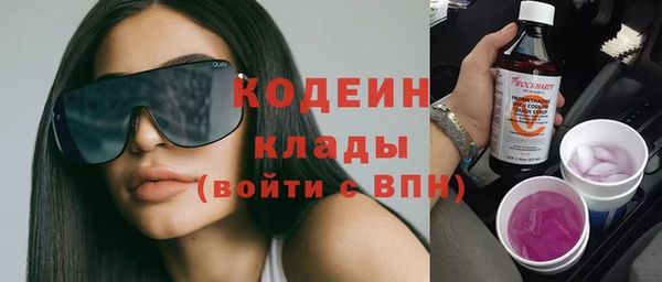 индика Балабаново