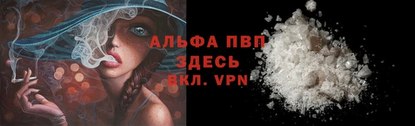 стаф Баксан