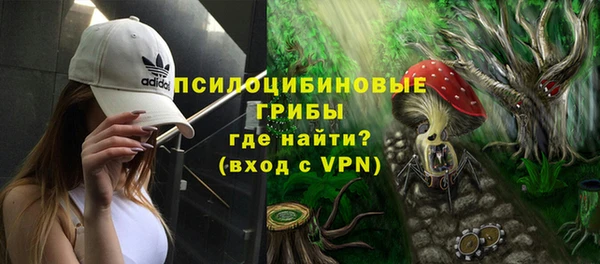 индика Балабаново