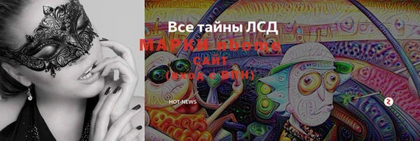 стаф Баксан