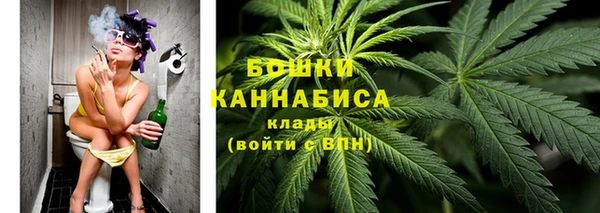 стаф Баксан
