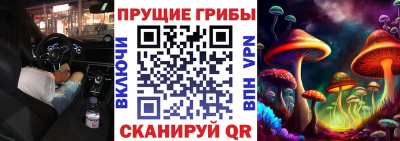 Псилоцибиновые грибы Cubensis площадка какой сайт Крымск